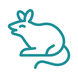 Rat Qluw0tja8slw 256